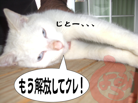 ポチっとな！