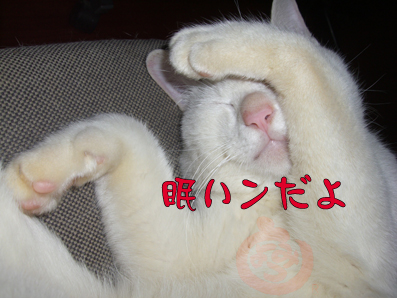 ポチっ！
