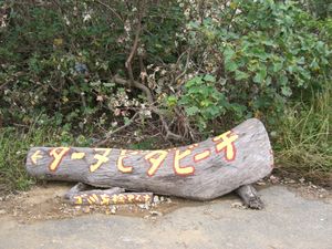 ターヌビダビーチデス!