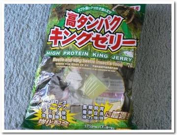カブトムシ