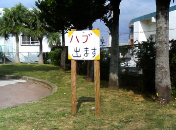 ハブ出ます?