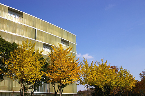 茨城県つくば市の紅葉