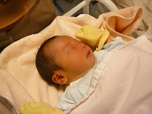 甥が誕生しました