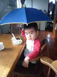 降ってる？ 2008/01/15 16:42:42