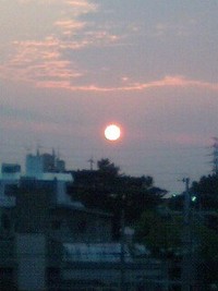 顔面神経痛？ 2008/04/15 19:35:33