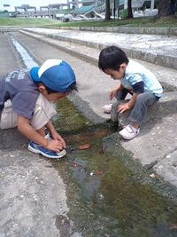 遠足でした。。 2008/04/26 21:08:41