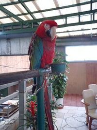 ミニミニ動物園。 2008/05/18 19:04:06