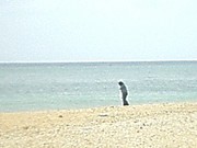 アーラビーチ