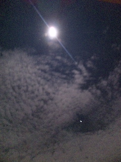 十六夜月