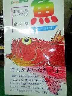 沖縄の魚