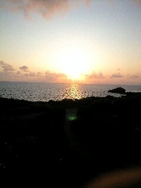宮古島の夜の出来事♪ 2008/08/17 11:18:39