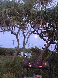 西辺安名崎でバーベキュー♪ 2008/08/16 21:38:42