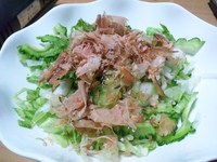 ゴーヤーサラダ 2012/05/13 11:51:13