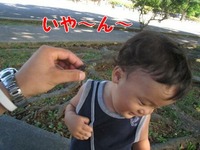 アッガ～なセミ初体験 2008/07/20 15:30:00
