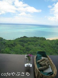 cafeやぶさち③ 2008/07/25 13:00:00