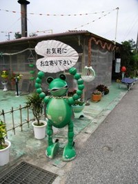 沖縄×カエル好きなら 2008/07/17 13:00:17