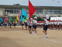 季節外れの・・・ 2008/06/15 19:58:06