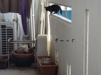 こっそり・・・ 2008/06/24 14:31:28
