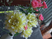 花のおすそわけ 2008/07/18 17:16:40