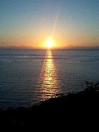 テスト 2008/11/24 22:30:02