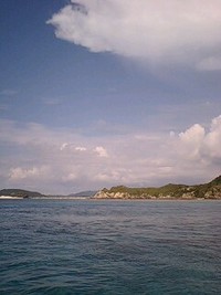出ちゃった(^O^)/ 2008/08/15 18:33:03