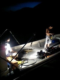 ナイトダイビング 2008/08/21 21:41:41