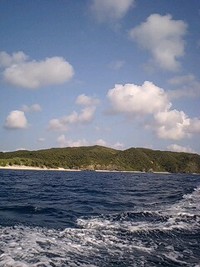 8月30日の記事 2008/08/30 16:37:35