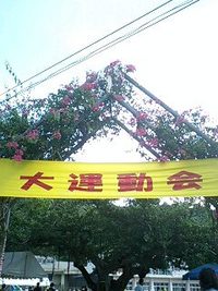 運動会 2008/09/21 00:09:12