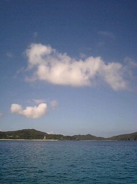 夏が帰って来た(^O^)/ 2008/09/21 22:02:10