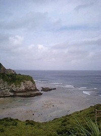 9月29日の記事 2008/09/29 16:25:55