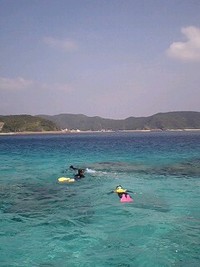 いい色だぁ(^O^)/ 2008/10/14 12:56:13