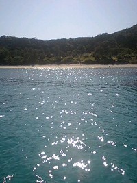 秋晴れ〜(^-^)/ 2008/10/23 16:53:12