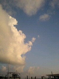 ちょっと 2008/11/02 17:32:08