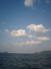 連休です！ 2008/11/22 17:46:02