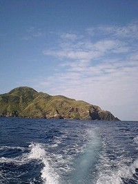 11月23日の記事 2008/11/23 14:16:45