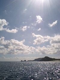 やっと日差しが・・・ 2009/11/06 18:01:05
