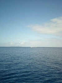 夏？ 2009/11/09 17:26:15