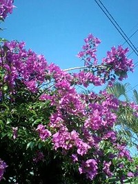 晴れた〜 2010/02/20 16:24:01