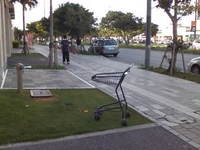 犬 2008/08/20 22:32:33