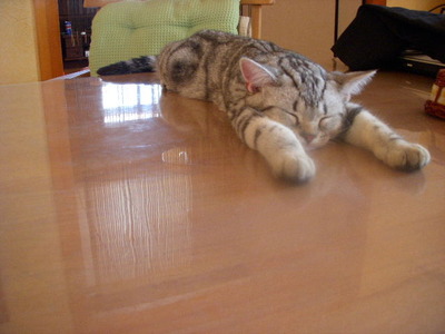 あっという間の休日