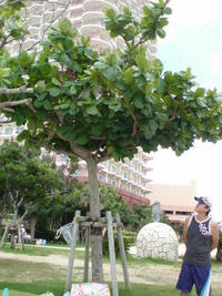 心霊写真？ 2008/06/09 21:25:04