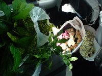 植物からのエネルギー 2008/06/19 10:23:00