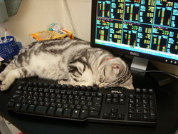 眠りについて