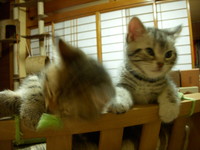 今日で2ヶ月