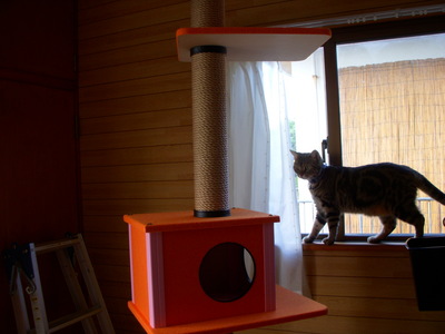 猫部屋タワー
