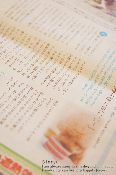 かふうコラム連載♪