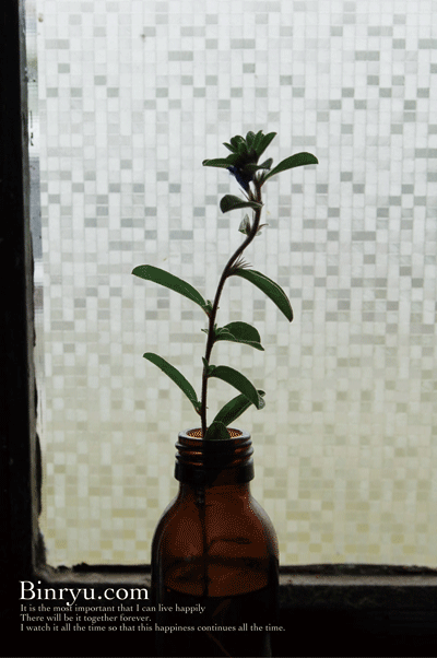 言葉が見つからない。