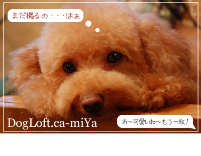 嬉しい季節です(^^)