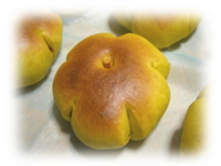 2008年10月23日