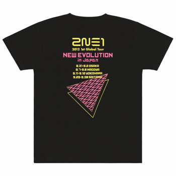 2NE1 2012 1st Global Tour - NEW EVOLUTION in Japan